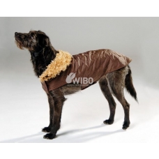 Dog Fashion Caro Step